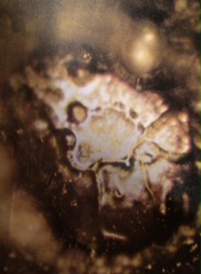 『結晶物語』（サンマーク文庫）では、水の結晶を様々な実験により写真で紹介されています。この水はおぞましい姿で、結晶は見られません。